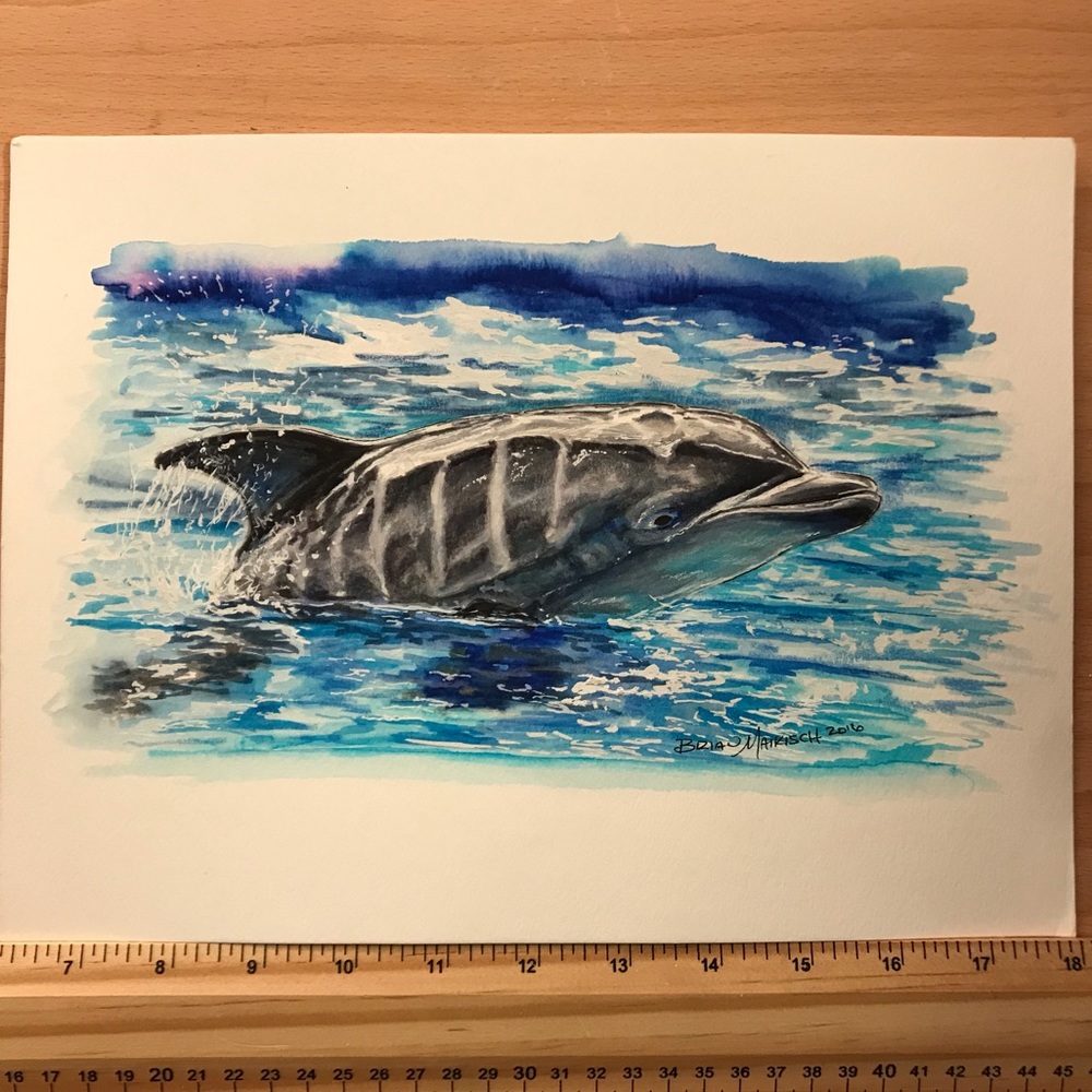 Dolphin Watercolor custom artwork print